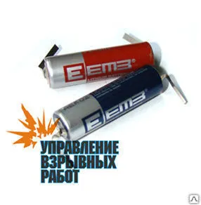 Фото №0 Элемент питания для прибора ЖЗ 2462П