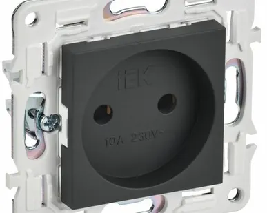фото SKANDY Розетка без заземления без защитных шторок 10А SK-R02G графит IEK