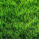 фото Искусственная трава High Grass 4м, Condor
