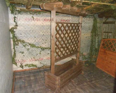 фото Навесы