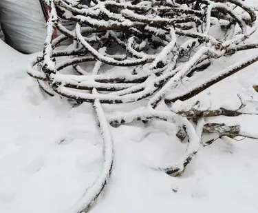 фото Выкуп кабеля