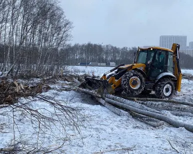 фото Выкорчёвываем пни с утилизацией