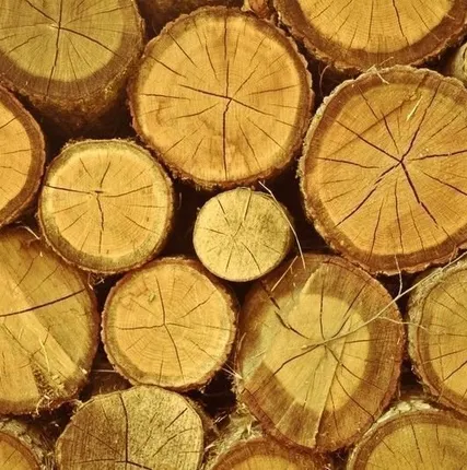 Фото №0 Бревна, древесина: дуб
в