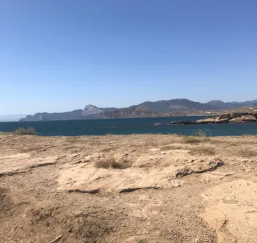 СпецТехПром, ООО