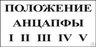 фото Плакат «Положение анцапфы» (пленка)