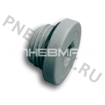 Фото №0 107P14 - Заглушка с уплотнительным кольцом наруж. резьба G1/4"