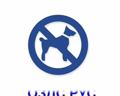 фото Наклейка “Запрещен вход с животными”