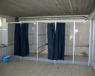 фото Душевые перегородки