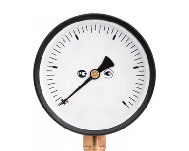 фото Манометр радиальный 0-16атм.1/4" d=63mm Rosma (TM-310P.0216)