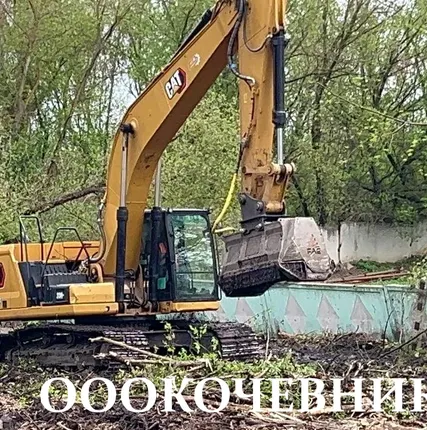 Фото №0 Расчистка территорий от деревьев, кустарников и корней