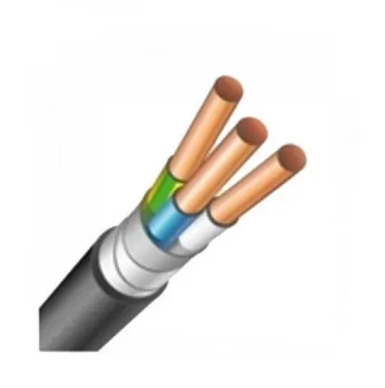 Фото №0 Кабель ВБШвнг(А)-LS 3х10 (N PE) 0.66кВ (м) ЭЛЕКТРОКАБЕЛЬ НН 00-00005837