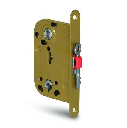 Фото №1 Дверь глухая (в комплекте) Дуб классик 700*2000 Олови