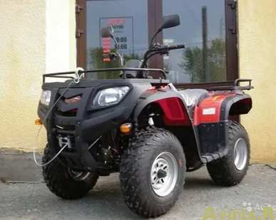 фото Квадроцикл BAGGIO 250