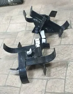 фото Пропольник Салют