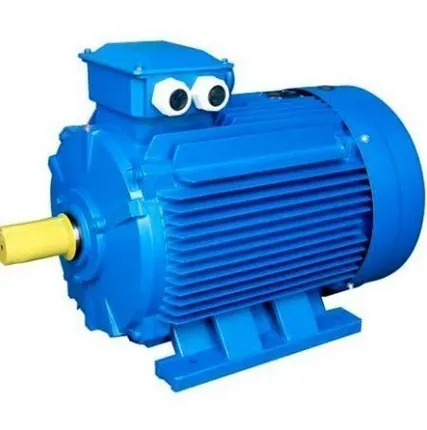 Фото №0 Эл/двигатель 5АИ 250 M2