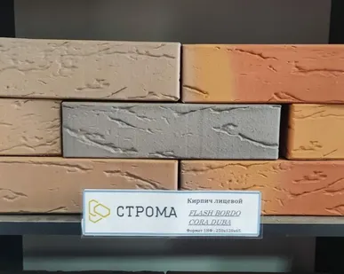 фото СТРОМА Flash Bordo Кора дуба 1NF