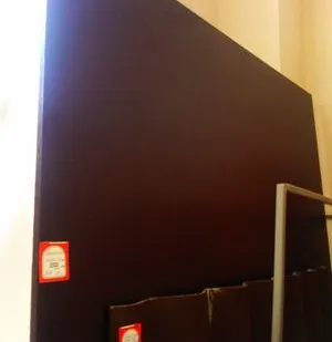 фото Фанера Ламинированная (ФОФ) 21 мм сорт 1/1 р-р 2500*1250 "Финская" МостовДр