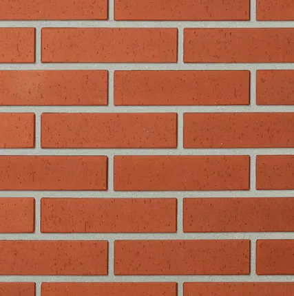 Фото №0 Кирпич облицовочный полнотелый Lode Skarbais Janka шероховатый, 250*120*65 мм