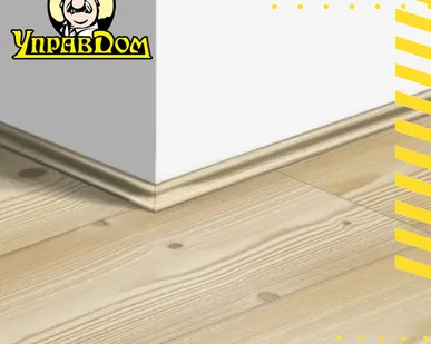 фото Плинтус Quick-Step Плинтус Скоция Quick Step QSSCOT 17x17х2400/ 01860