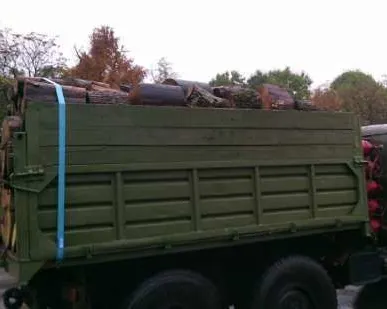 фото ДРОВА