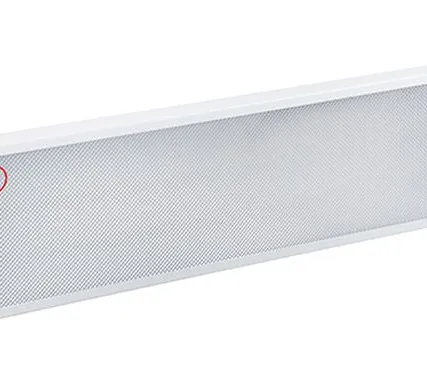 Фото №0 Накладной аварийный светодиодный светильник OS-NIP-44-A1-20