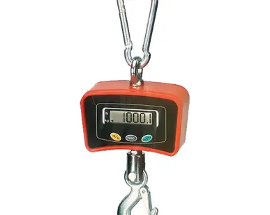 фото Весы крановые Romitech CS-99