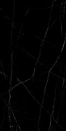 Фото №0 Плитка из керамогранита Simpolo Simpolo 120х278 черный (MPL-060875)