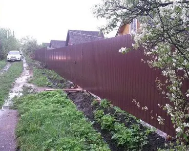 фото Забор из полимерного профлиста