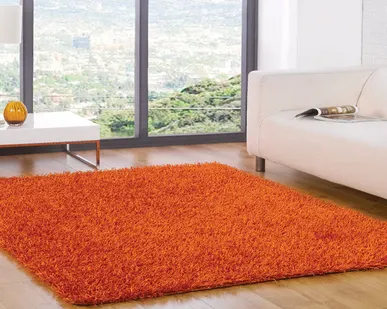 фото Химчистка ковров shaggy.