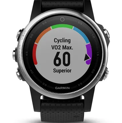 Фото №0 Часы Garmin Fenix 5S серебристые с черным ремешком