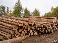 фото Куплю лес кругляк