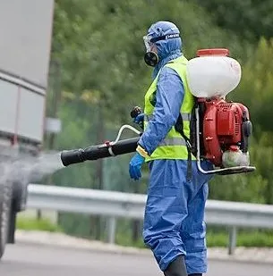 фото Дезинсекция комаров