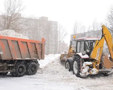 фото Вывоз снега
