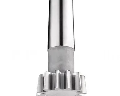 фото Долбяк хвостовой прямозубый