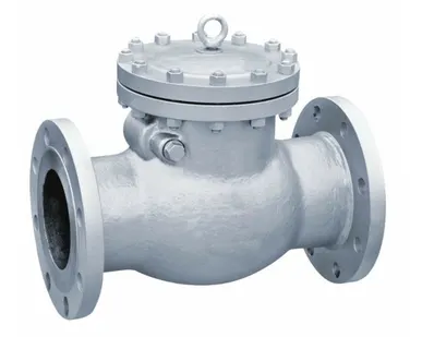 фото 19с53нж, Клапан обратный поворотный