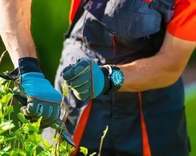 фото Услуги садовника