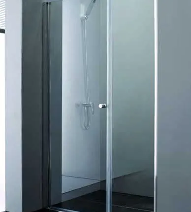 Фото №0 ДУШЕВАЯ ДВЕРЬ В НИШУ ELENA B-11 (900x1950 мм)