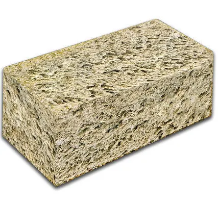 Фото №0 Ракушечник (108 шт)