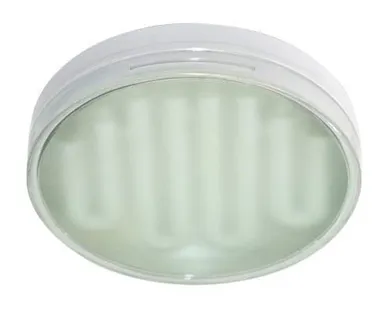 фото Лампа энергосберег. 20W 230V GX70 6400K ESB70