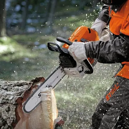 Фото №0 Аренда бензопилы