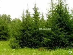 фото Строительство дома Ростоши