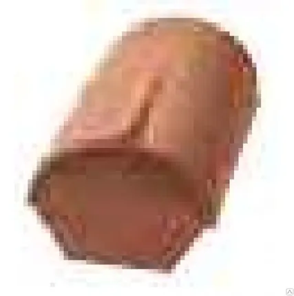 Фото №0 DS5 Начальная коньковая черепица Nelskamp