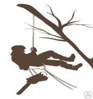 Фото №0 Обрезка деревьев