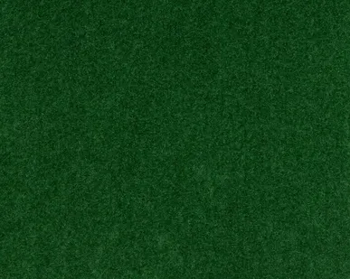 фото Ковровое покрытие Arena 55650 зеленый, Sintelon