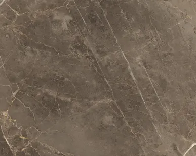 фото Керамический гранит COLISEUM Портофино 450х450 серый Lap