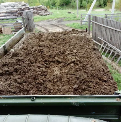 Фото №0 Навоз коровий с доставкой в Пушкин