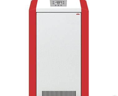 фото ЛЕМАКС Котел газовый чугунный "WISE-25"