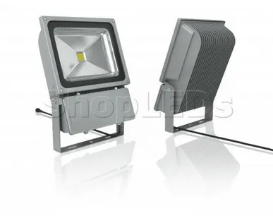 фото ShopLEDs Светодиодный прожектор 100W, IP65, 220V, белый