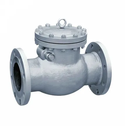 Фото №0 19с76нж, Клапан обратный поворотный