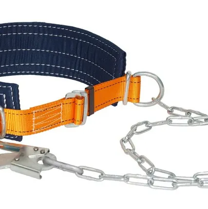 Фото №0 Пояс страховочный РОС ПП-1Г